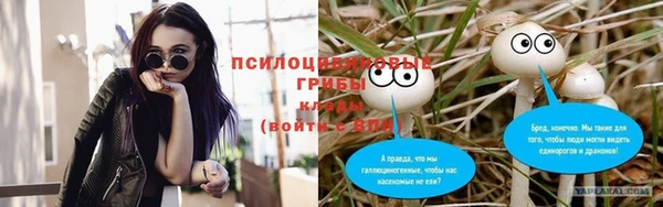 СК Белокуриха
