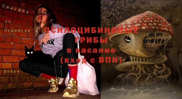 прущие крисы Беломорск