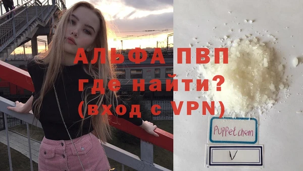 СК Белокуриха